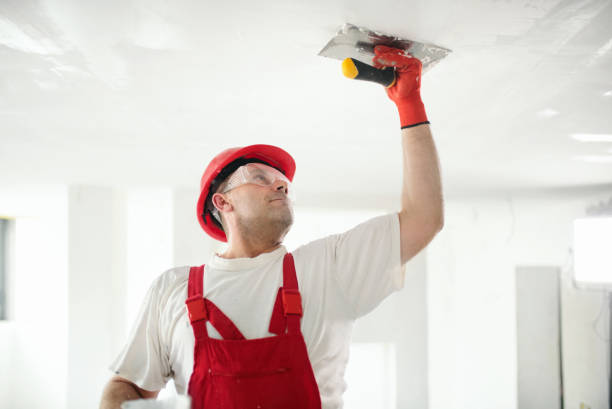 Reliable Lochsloy, WA Dry wall and painting Solutions